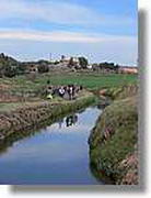 Transequia_104.jpg(88,0 KB)