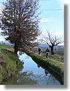 Transequia_105.jpg(172 KB)