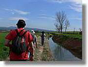 Transequia_108.jpg(84,0 KB)