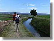 Transequia_109.jpg(82,4 KB)