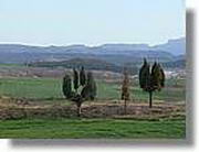 Transequia_111.jpg(84,1 KB)