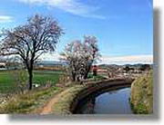 Transequia_116.jpg(132 KB)