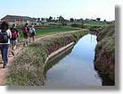 Transequia_117.jpg(113 KB)