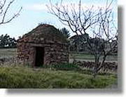 Transequia_123.jpg(145 KB)