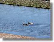 Transequia_131.jpg(124 KB)