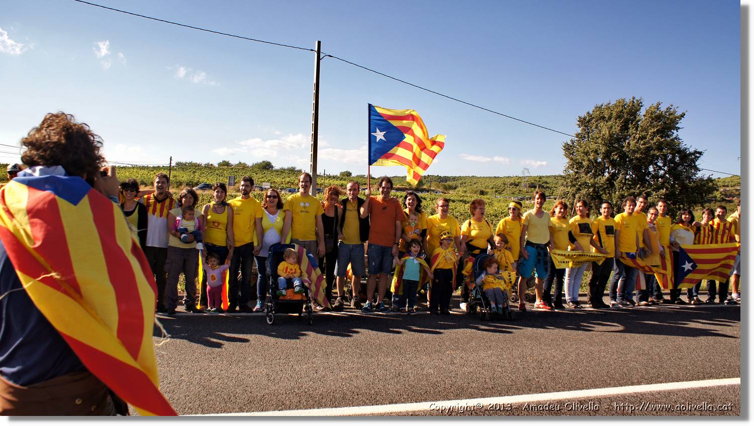 ViaCAT_118.jpg
