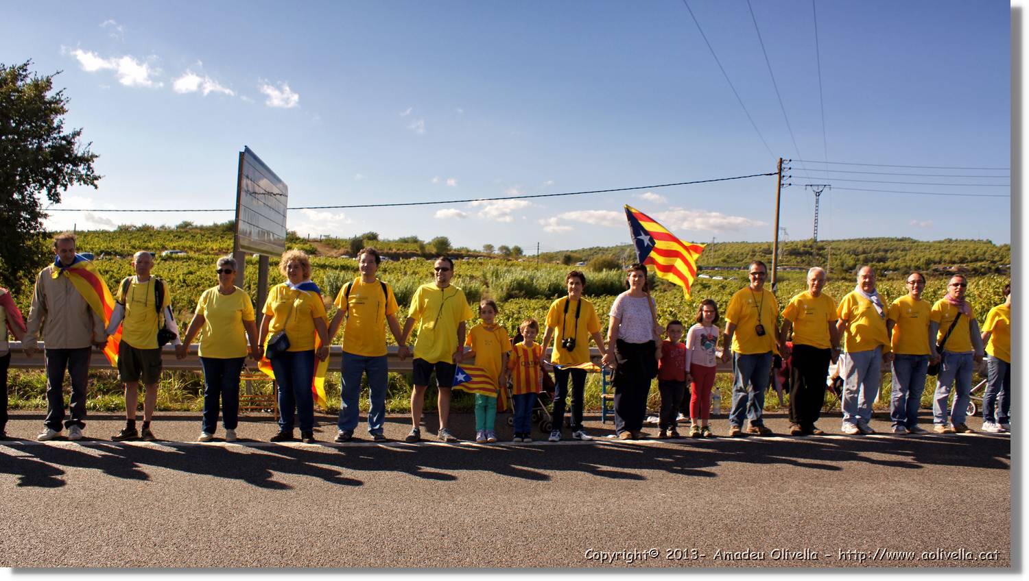 ViaCAT_121.jpg