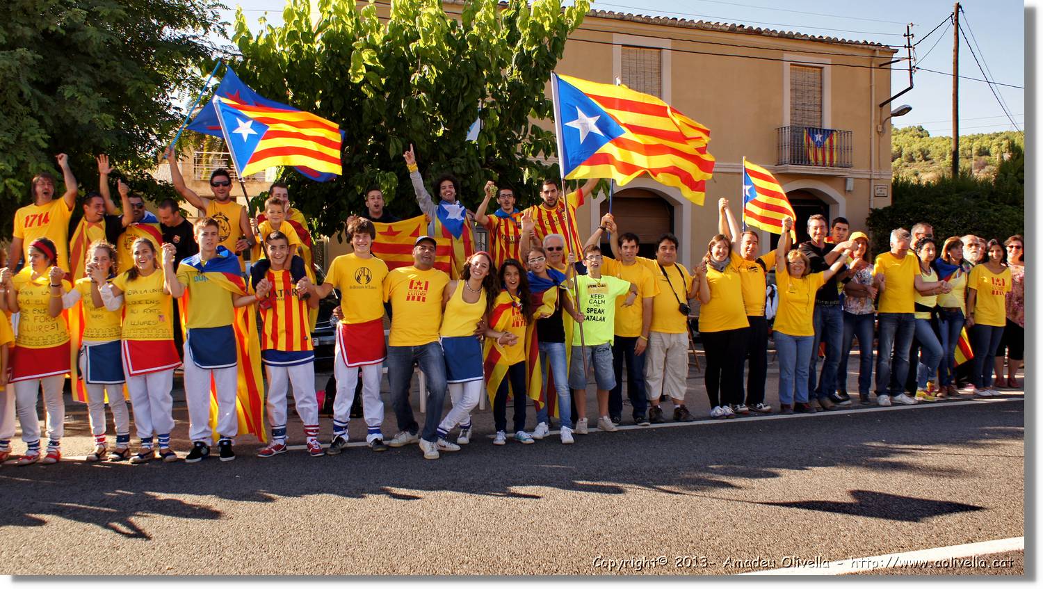 ViaCAT_133.jpg