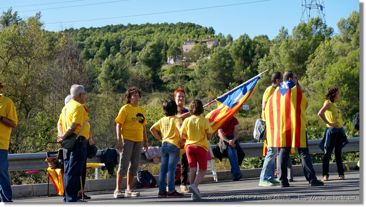 ViaCAT_143.jpg