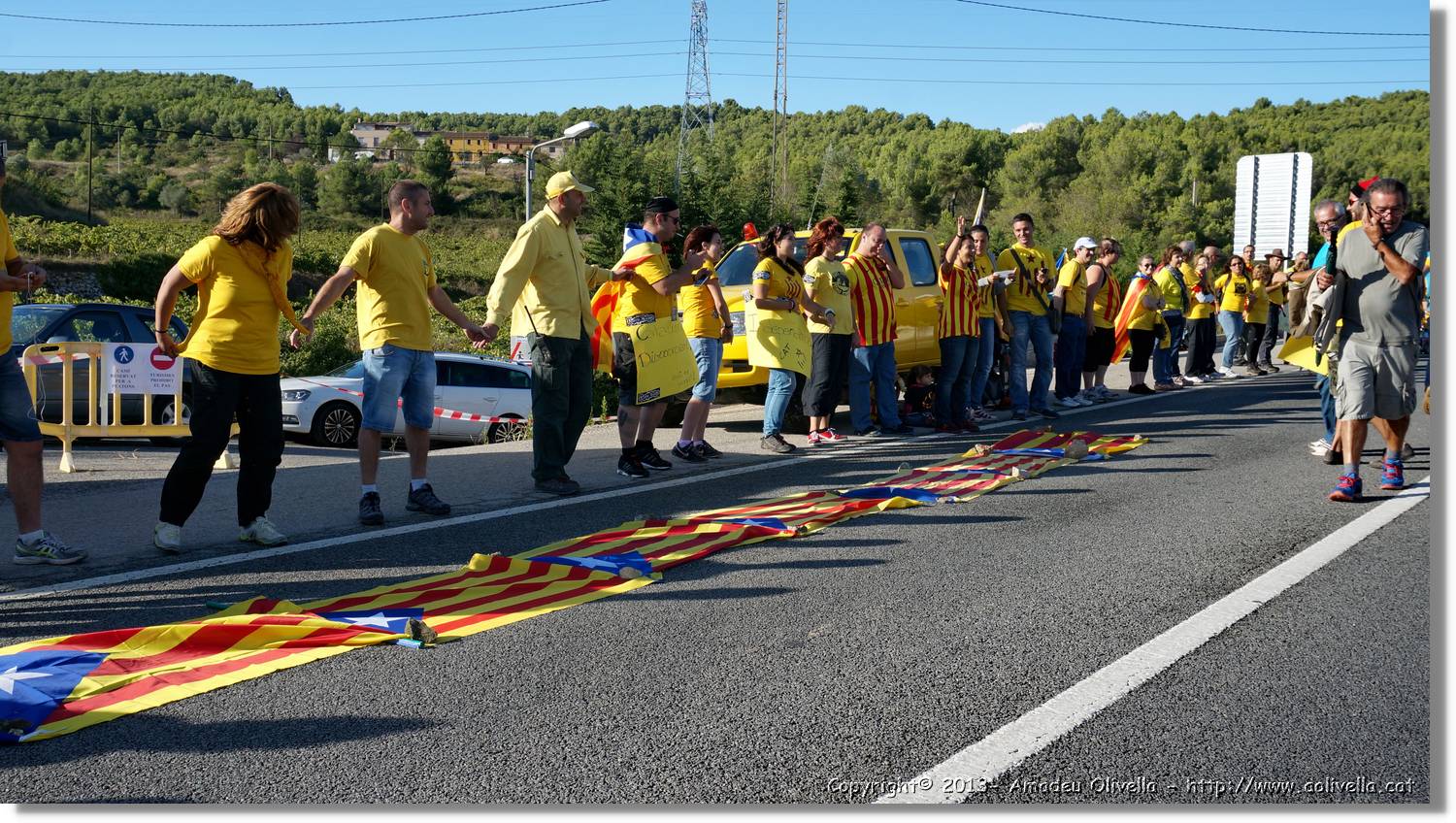 ViaCAT_155.jpg