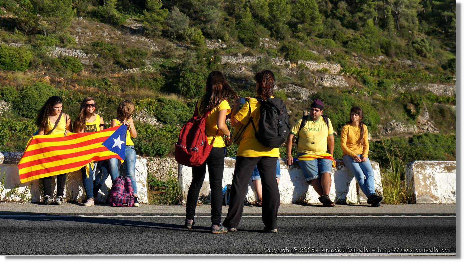 ViaCAT_179.jpg