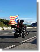 ViaCAT_180.jpg