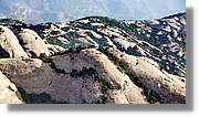 Montserrat_175.jpg