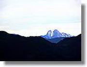 Coloms_113.jpg(39,5 KB)