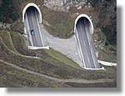 Coloms_168.jpg(95,7 KB)