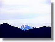 Coloms_186.jpg(45,3 KB)