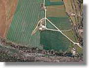 Coloms_189.jpg(120 KB)