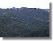 Coloms_201.jpg(87,8 KB)