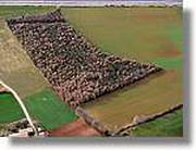 Coloms_205.jpg(132 KB)