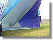 Coloms_230.jpg(102 KB)