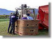 Coloms_234.jpg(130 KB)