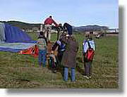 Coloms_244.jpg(120 KB)