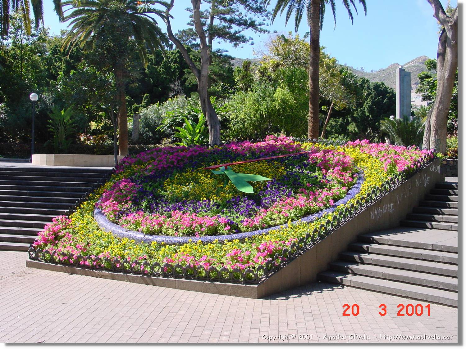Flors_062.jpg