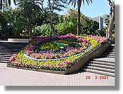 Flors_062.jpg