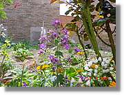 Flors_100.jpg