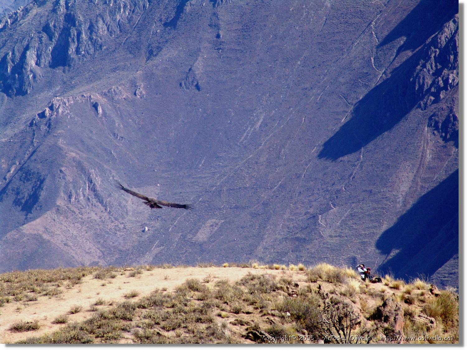 Fauna_077.jpg