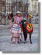 Fauna_088.jpg