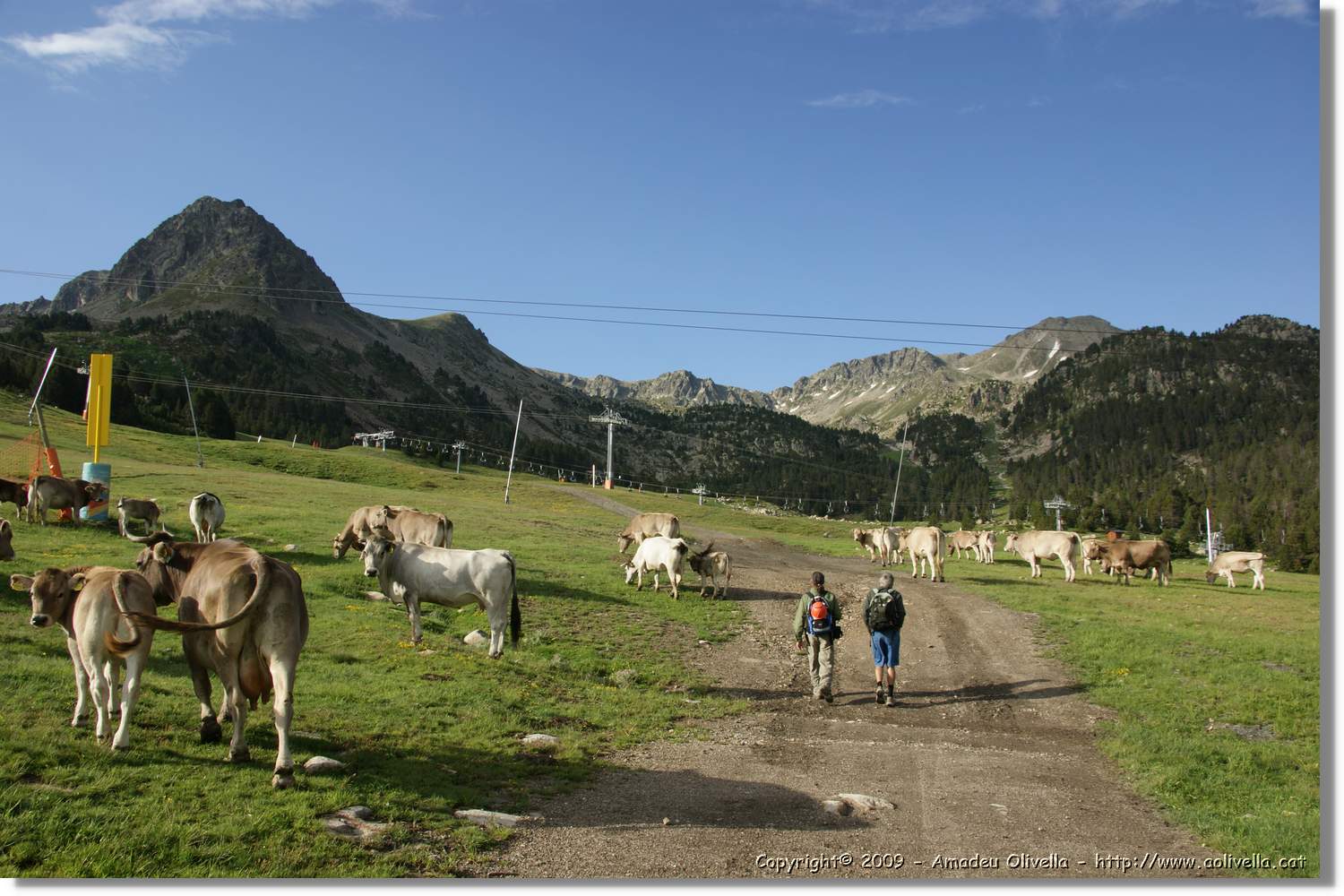 Envalira_007.jpg