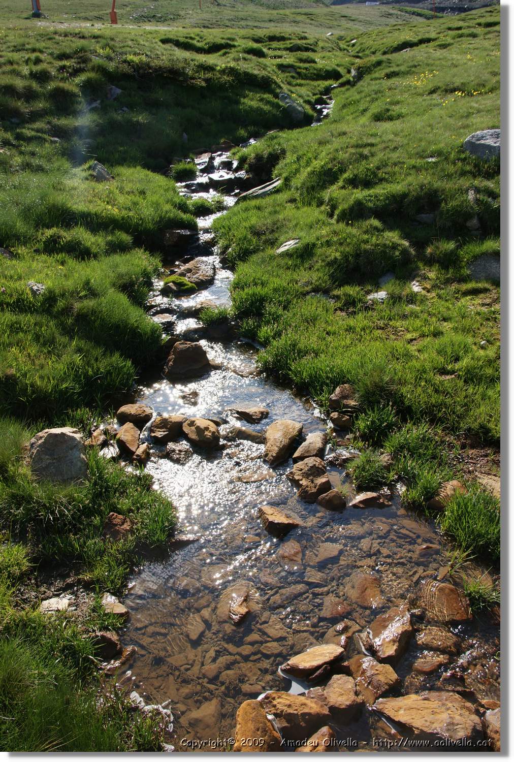 Envalira_028.jpg