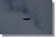Envalira_104.jpg
