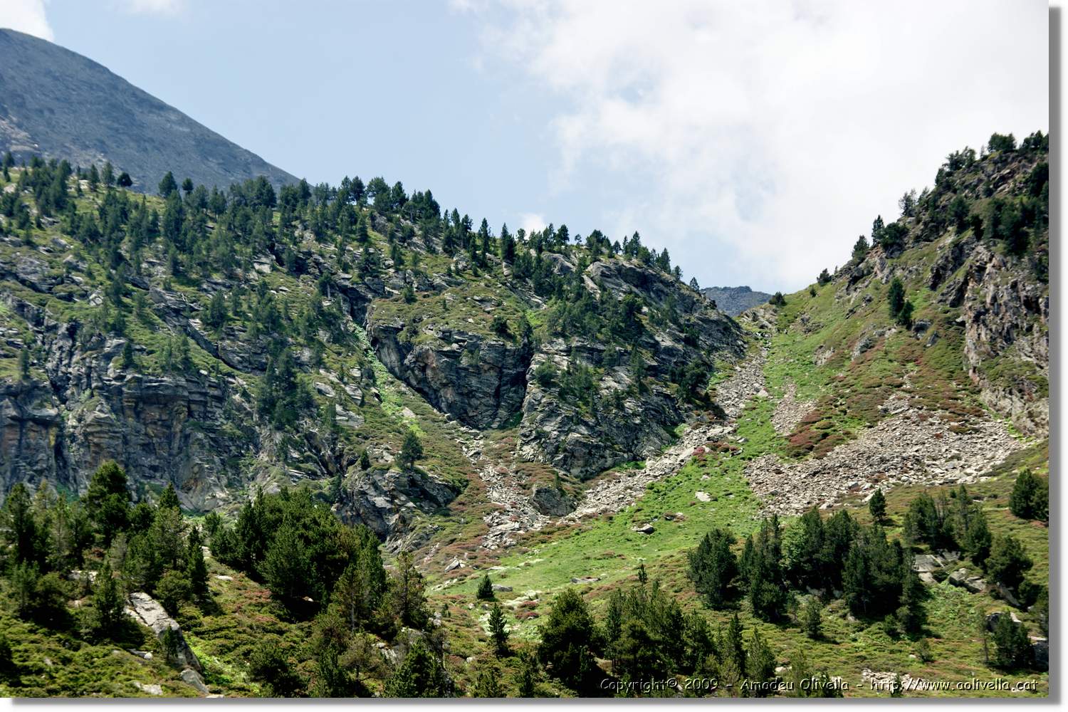 Siscaro_089.jpg
