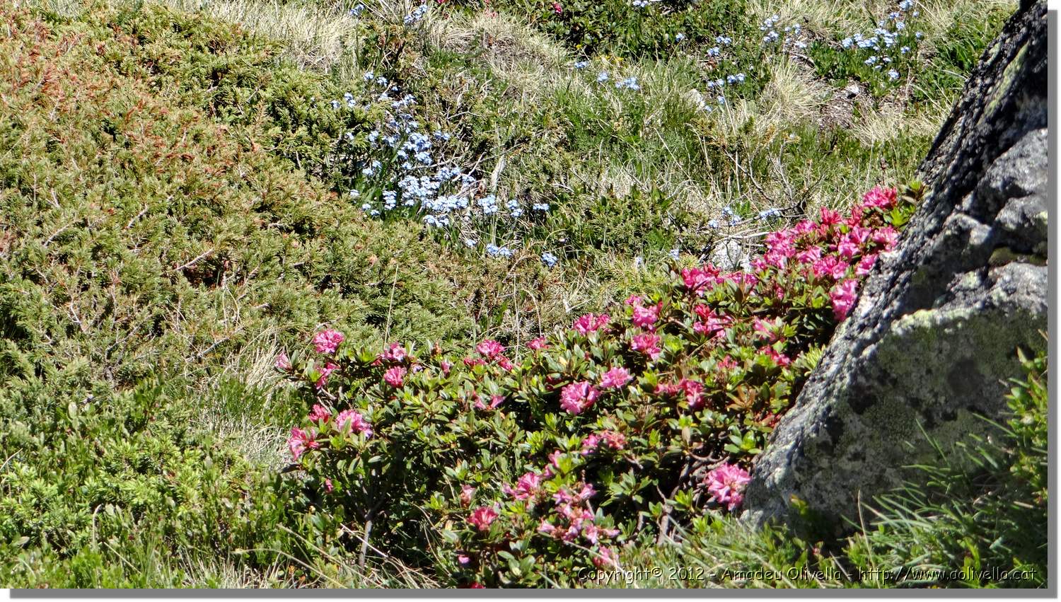 Envalira_058.jpg