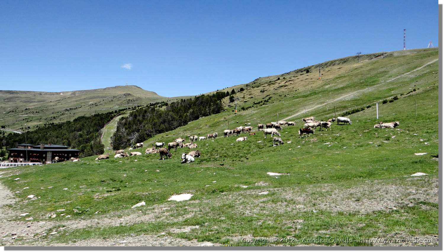 Envalira_130.jpg
