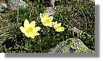 Envalira_016.jpg