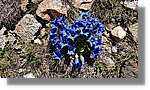 Envalira_018.jpg