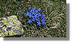 Envalira_103.jpg