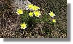 Envalira_104.jpg