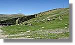 Envalira_130.jpg