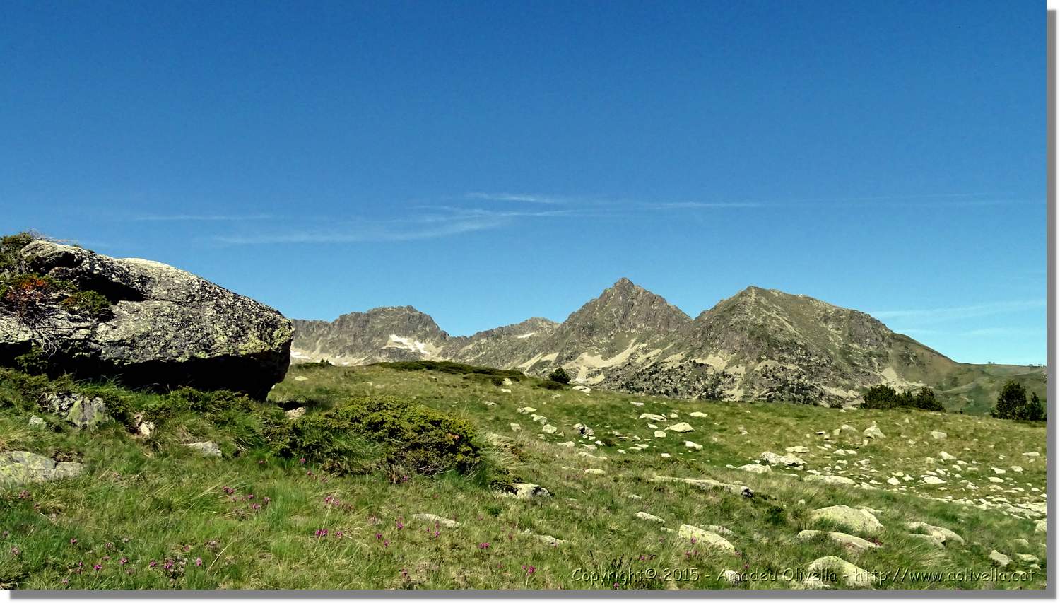 Ferrada_012.jpg