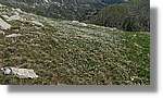 Ferrada_116.jpg