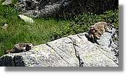 Envalira_134.jpg