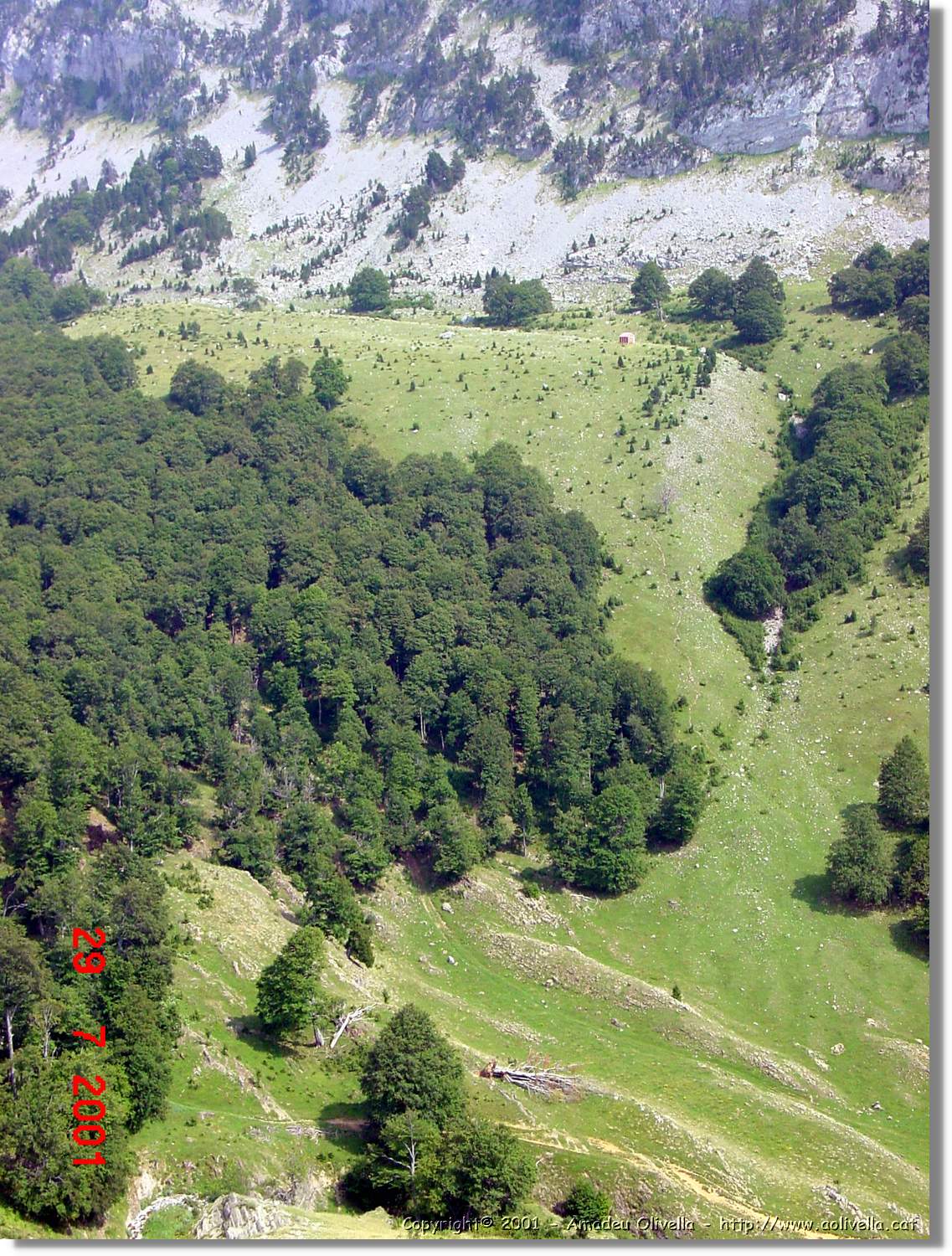 Belagua_125.jpg