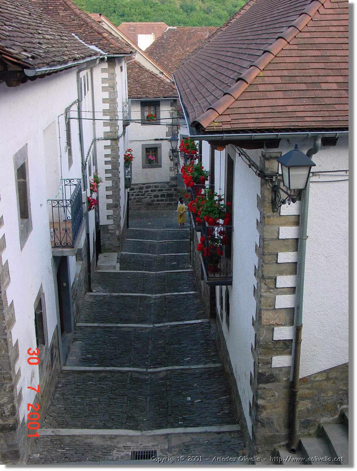 Belagua_166.jpg