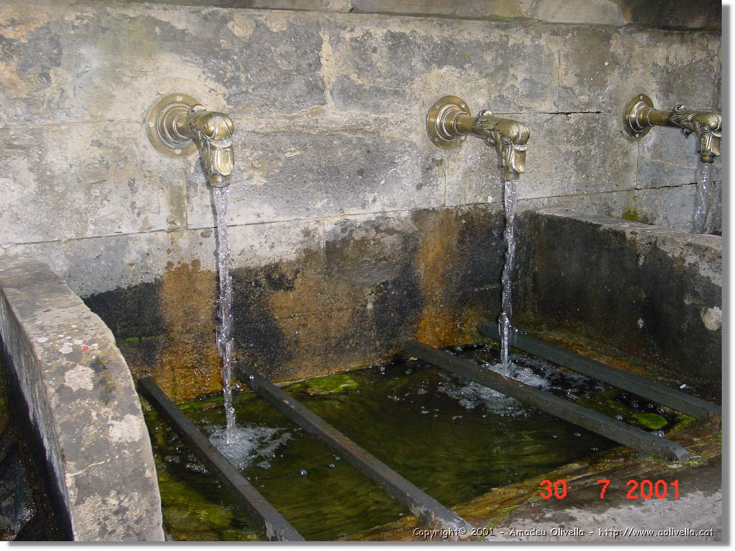 Belagua_175.jpg