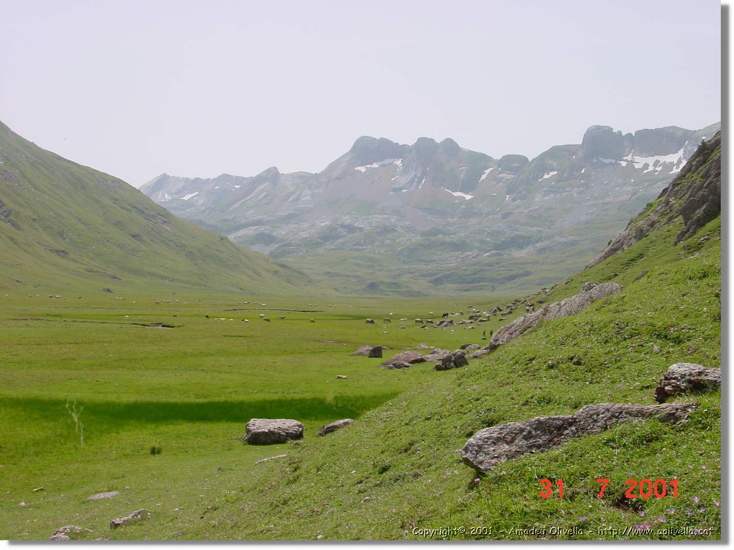 Belagua_180.jpg