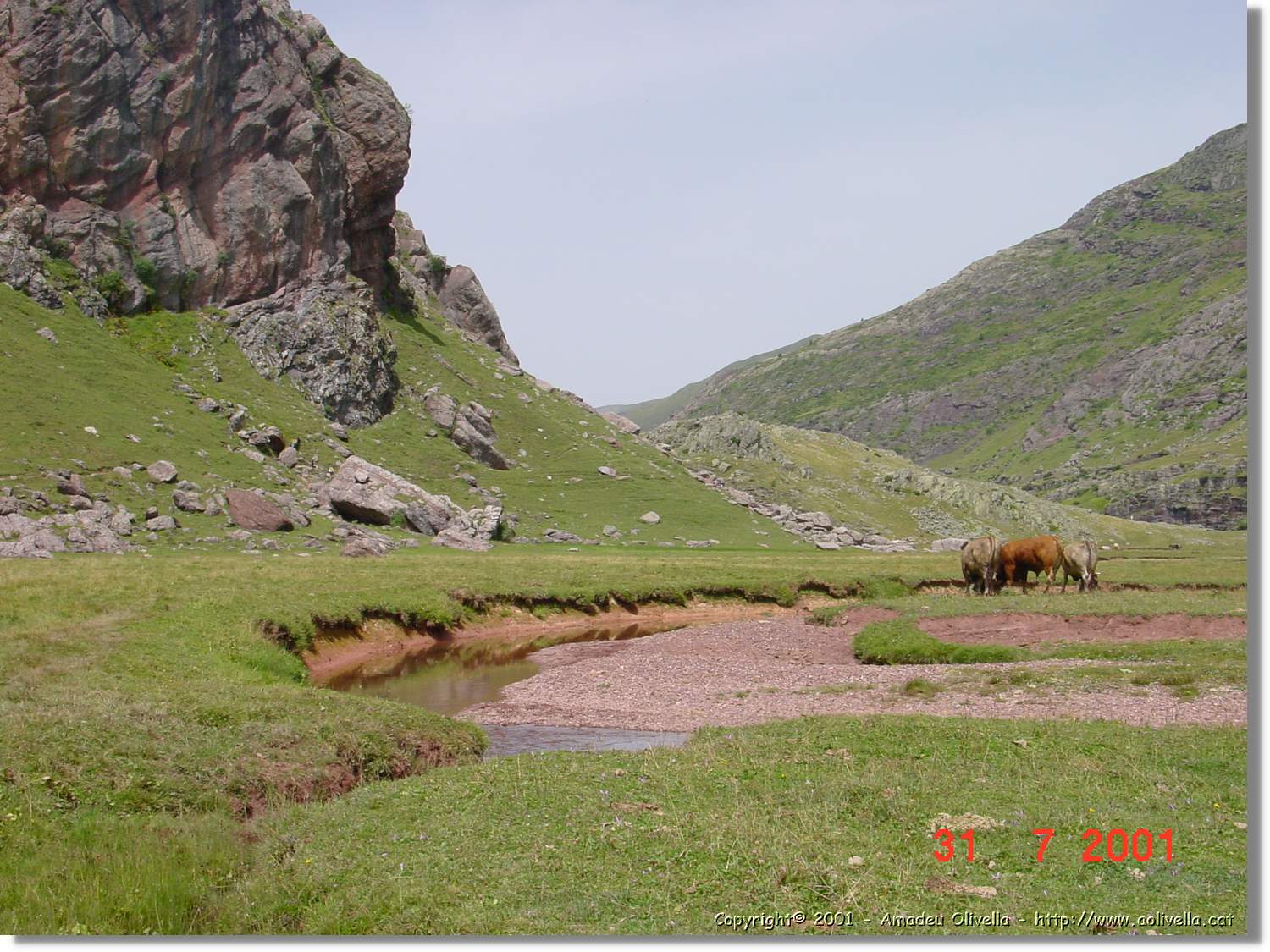 Belagua_184.jpg